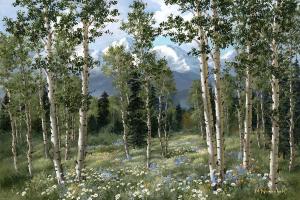 High Country Aspen & Daisies High Country Aspen & Daisies