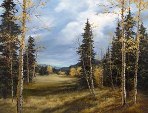 Conifer Meadow Conifer Meadow