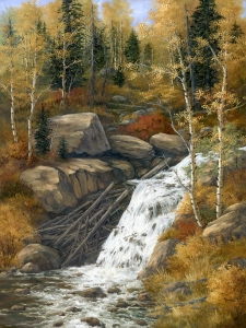 Timberline Falls Timberline Falls
