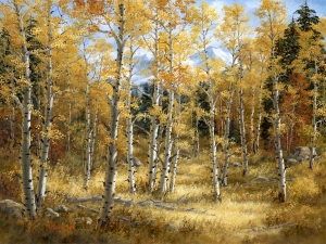 Aspen Fiesta Aspen Fiesta